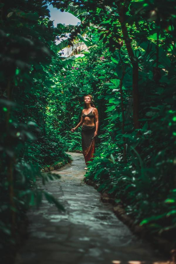 ホテル Lush Atitlan サン・マルコス・ラ・ラグナ エクステリア 写真
